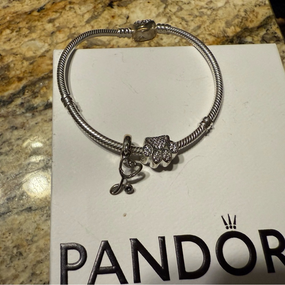 Pandora Moments Family Tree Heart Clasp
Snake Chain Bracelet
Sterling silver
